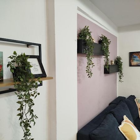 Apartment Jazbina พูลา ภายนอก รูปภาพ